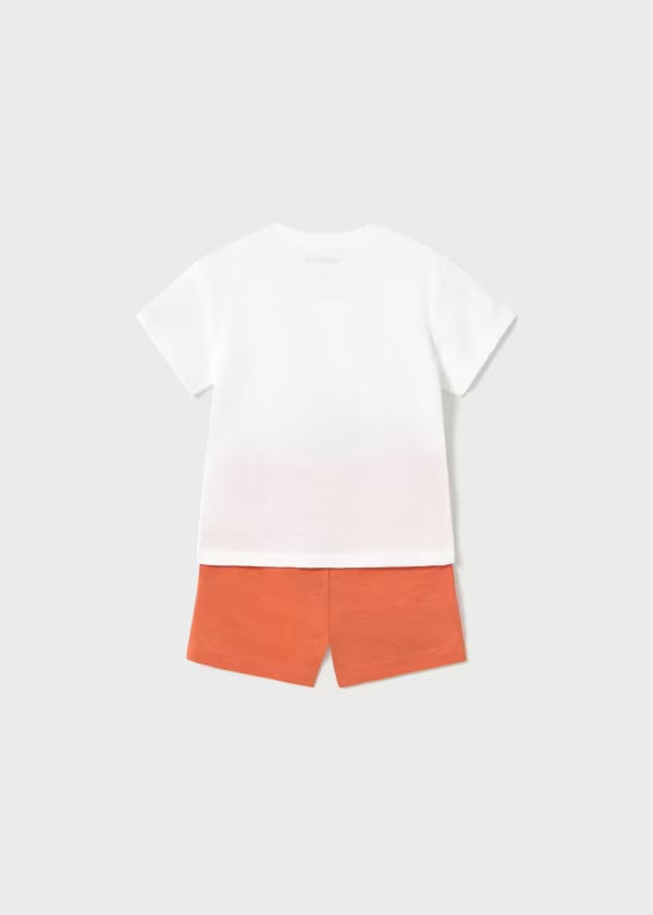 Conjunto surf