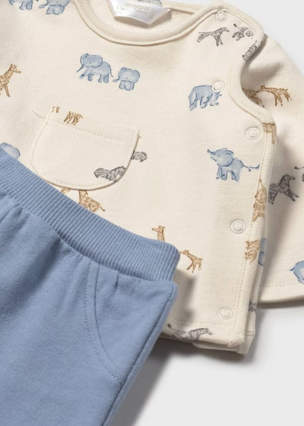 Conjunto animalito 2567
