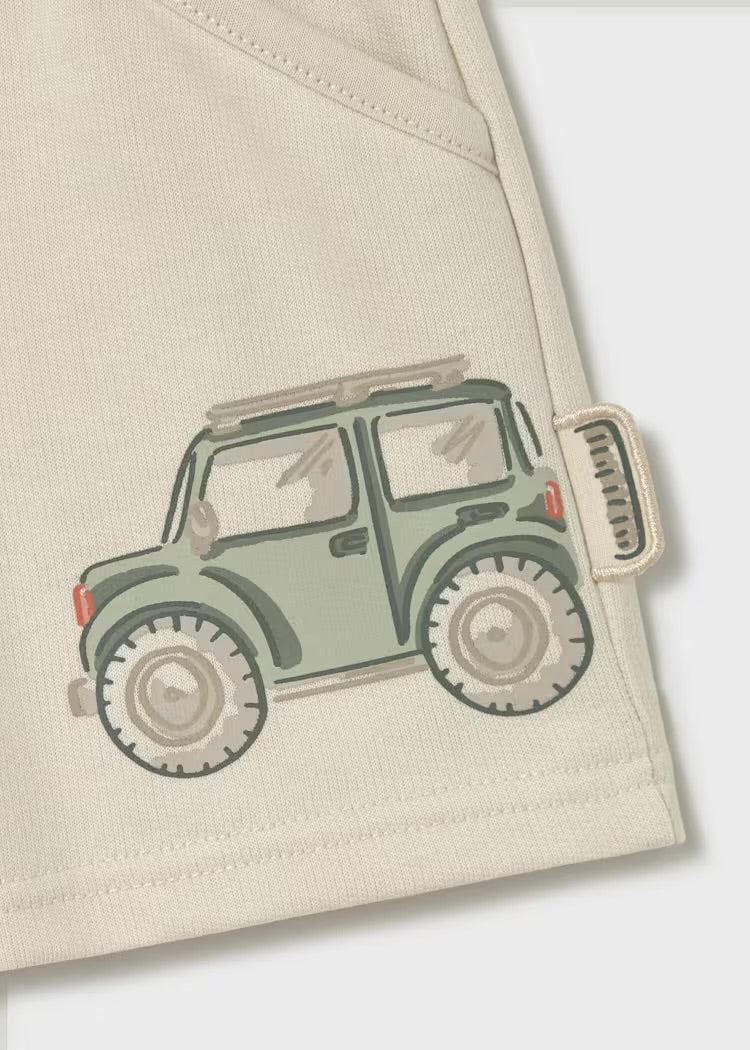 Conj. felpa mix 1005