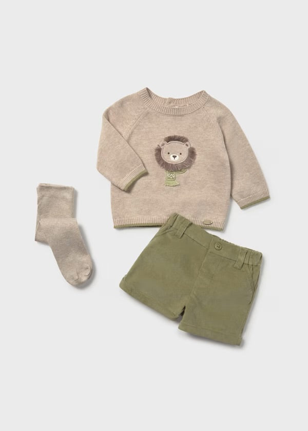 Conjunto leon 2259