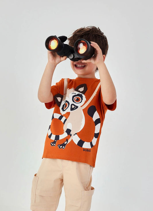 Conjunto lémur 5304