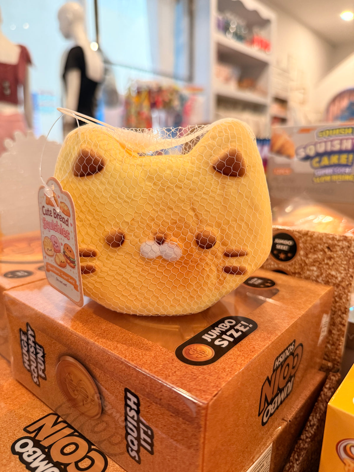 Gatito pan 😹 Squishy
