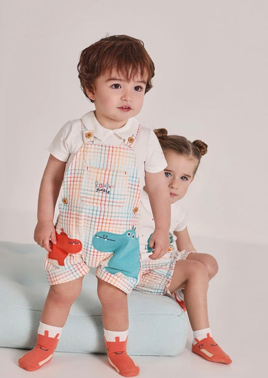 Conjunto cuadros  9831