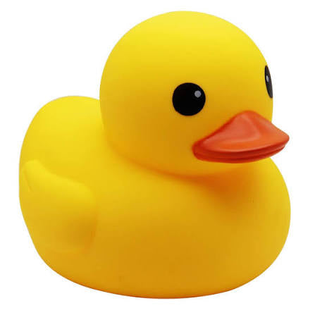 Duck Squishy