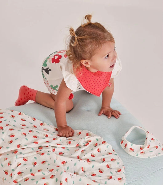 Pack Baberos mariquita 9822